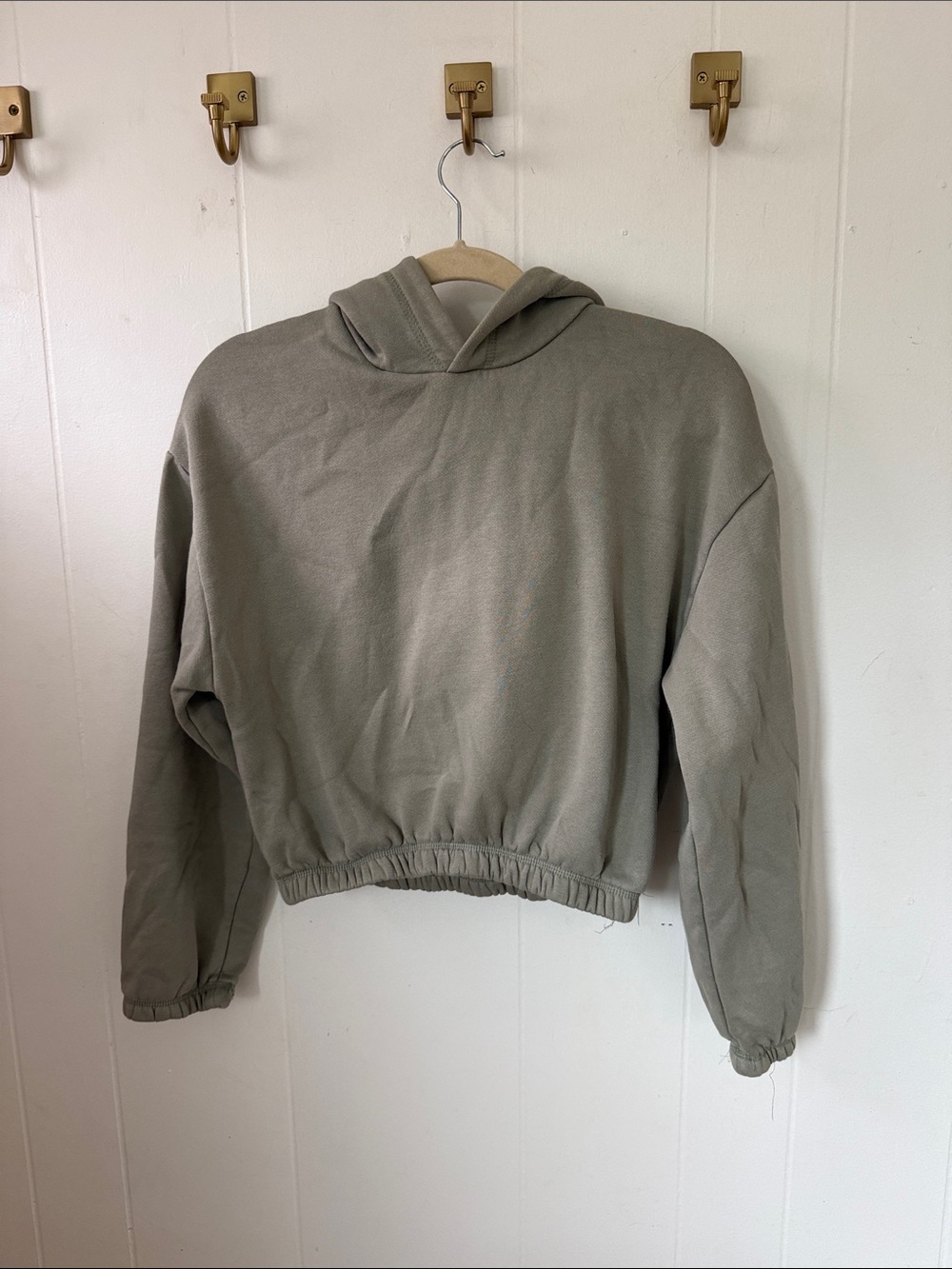 Zara Cropped Hooded Sweatshirt in Sage
